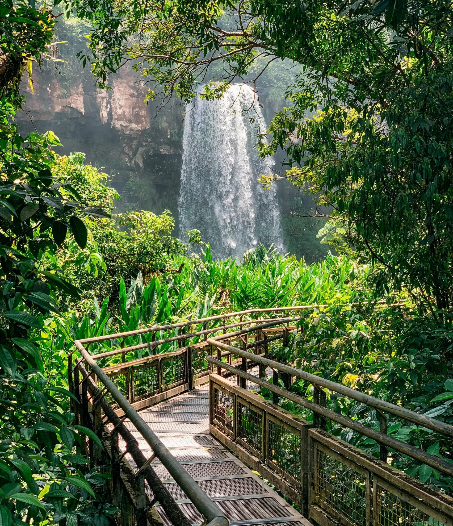 iguazu2